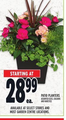 Metro Patio planters offer