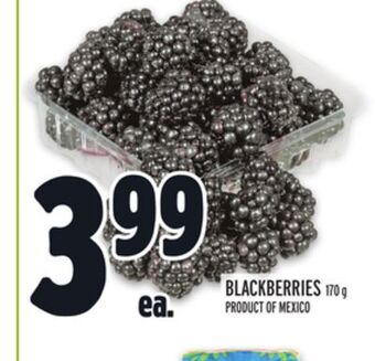 Metro Blackberries offer