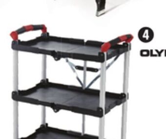 Canadian Tire Olympia folding service cart offer