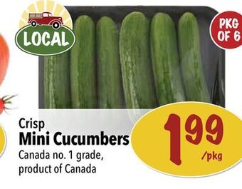Farm Boy Crisp mini cucumbers offer