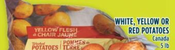 Marché Adonis White, yellow or red potatoes offer