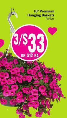 FreshCo 10 premium hanging baskets offer