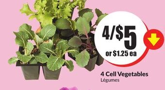 FreshCo 4 cell vegetables offer