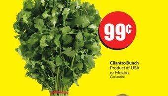 FreshCo Cilantro bunch product of usa or mexico offer
