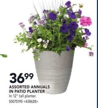 RONA Assorted annuals in patio planter offer