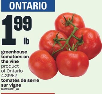 Valu-mart Tomates de serre sur vigne offer
