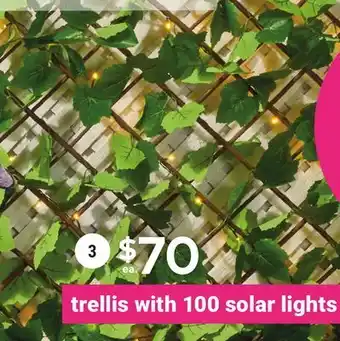 Giant Tiger Expandable trellis with solar lights offer