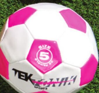 Giant Tiger Sports balls offer