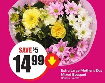 Chalo FreshCo Extra large mother's day mixed bouquet offer