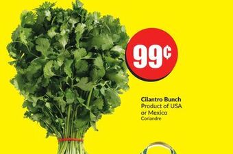Chalo FreshCo Cilantro bunch product of usa or mexico offer