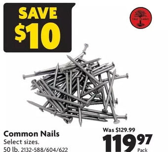 Home Hardware Common nails offer