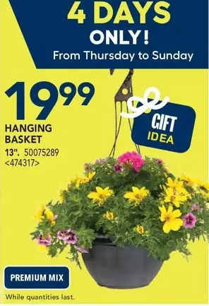 RONA Hanging basket offer