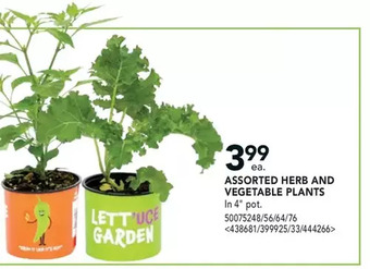 RONA Herb and vegetable plants offer