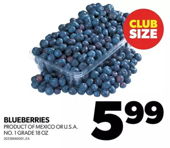 Real Canadian Superstore Blueberries offer