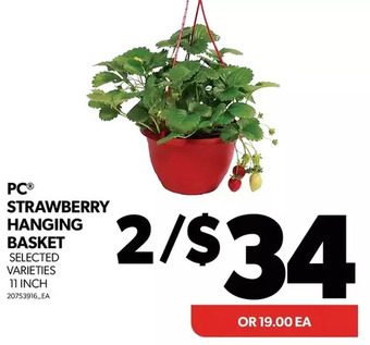 Real Canadian Superstore Pc strawberry hanging basket offer