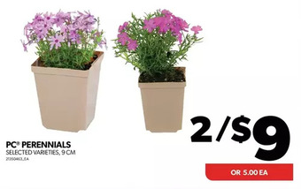 Real Canadian Superstore Pc perennials offer
