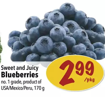 Farm Boy Blueberries offer