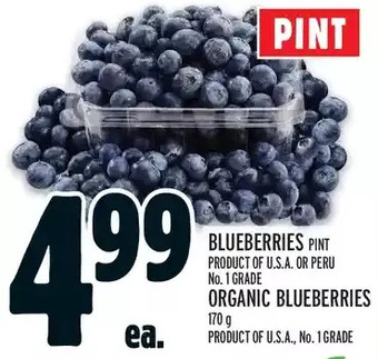 Metro Blueberries | organic blueberries offer