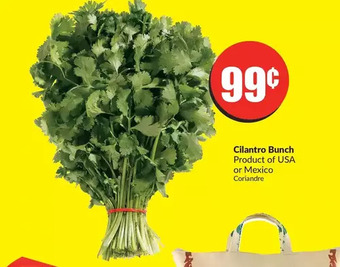 FreshCo Cilantro bunch offer