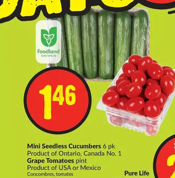 FreshCo Mini seedless cucumbers | grape tomatoes offer