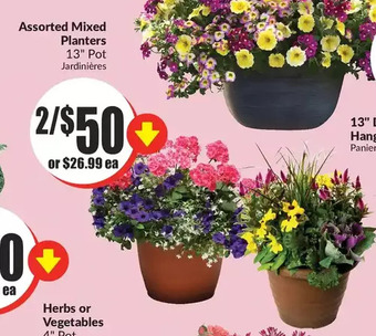 FreshCo Mixed planters offer