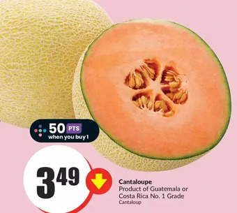 FreshCo Cantaloupe offer