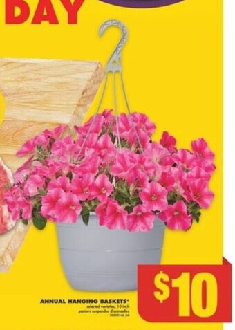 No Frills ANNUAL HANGING BASKETS offer