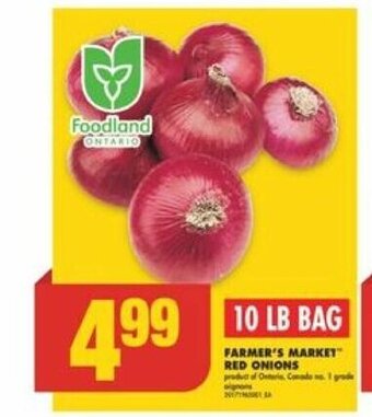 No Frills FARMER'S MARKET RED ONIONS 10 LB BAG offer