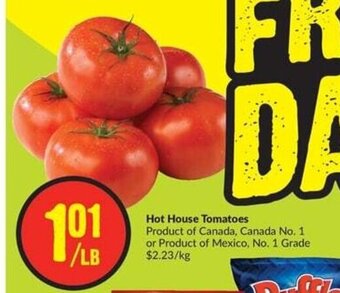 FreshCo Hot House Tomatoes offer