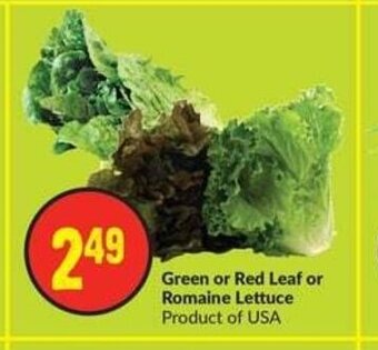FreshCo Green or Red Leaf or Romaine Lettuce offer