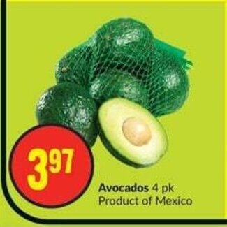 FreshCo Avocados 4 pk offer