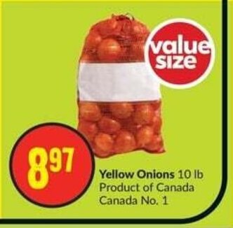 FreshCo Yellow Onions 10 lb offer