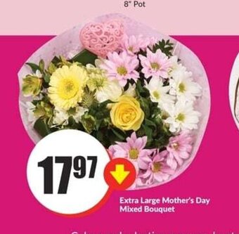 FreshCo Extra Large Mother's Day Mixed Bouquet offer