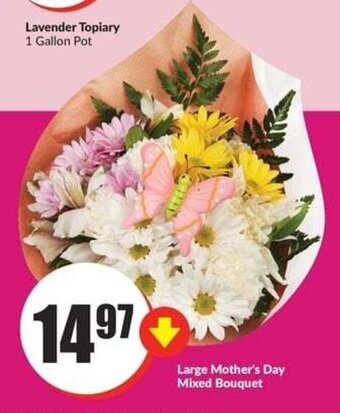 FreshCo Large Mother's Day Mixed Bouquet offer