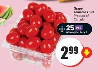 FreshCo Grape Tomatoes pint offer