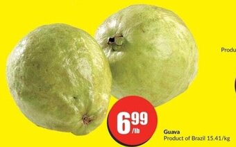 FreshCo Guava offer