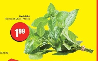 FreshCo Fresh Mint offer