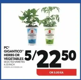Real Canadian Superstore PC GIGANTICO™ HERBS OR VEGETABLES 4.33 INCH offer