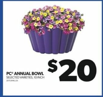 Real Canadian Superstore PC® ANNUAL BOWL 10 INCH offer