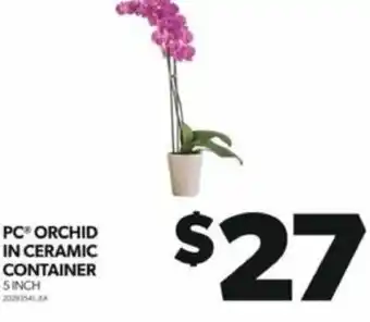 Real Canadian Superstore PC ORCHID IN CERAMIC CONTAINER offer