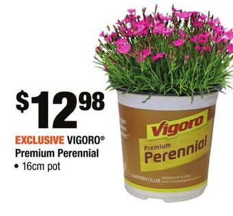 Home Depot Vigoro® premium perennial offer