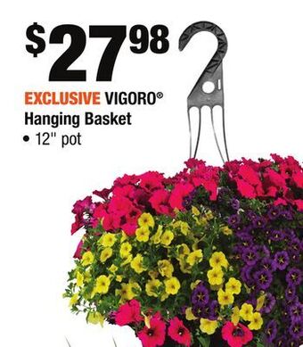 Home Depot Vigoro® hanging basket offer