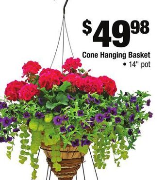 Home Depot Cone hanging basket offer