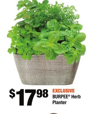 Home Depot Burpee® herb planter offer