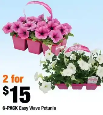 Home Depot 6-pack easy wave petunia offer