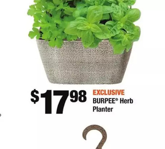 Home Depot Rio hanging basket offer