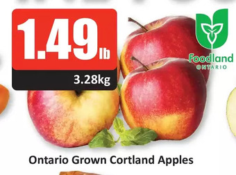 Starsky Ontario grown cortland apples offer