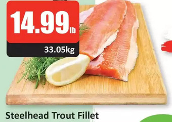 Starsky Steelhead trout fillet offer