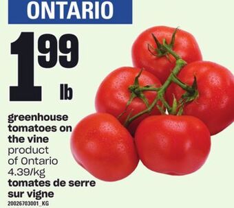 Independent City Market Greenhouse tomatoes on the vine offer