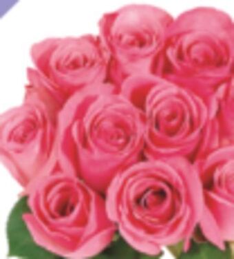 Shoppers Drug Mart Spring rose offer